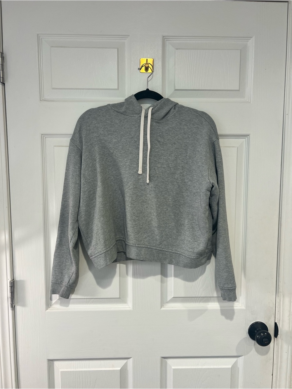 Everlane Light Heather Gray Cropped Hoodie